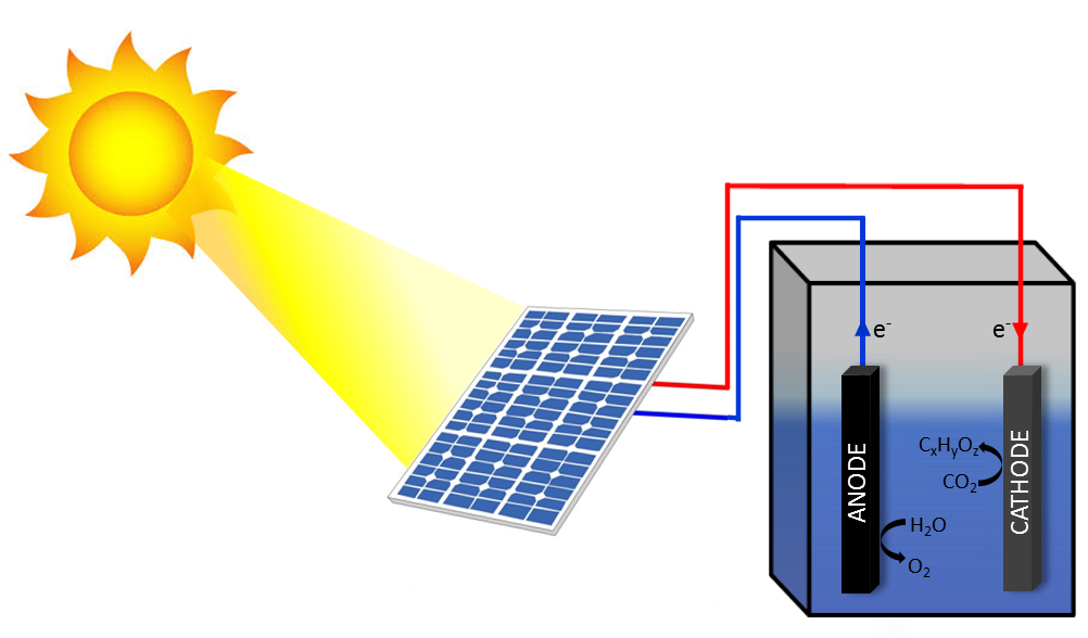 Photosynthèse Artificielle : Transformer Le Soleil En Carburants ...